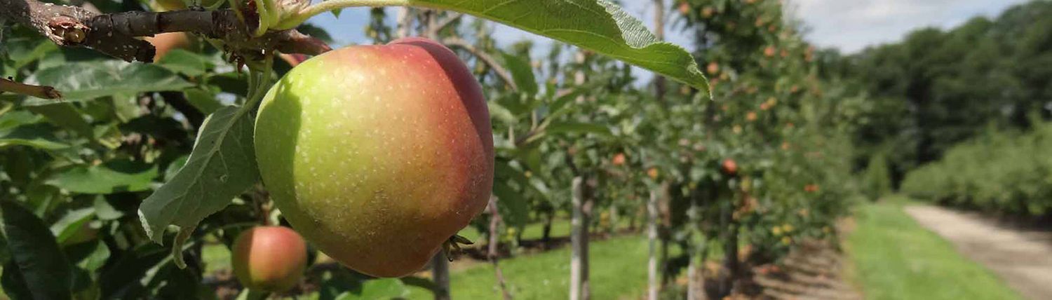 boerderijwinkel-verse-producten